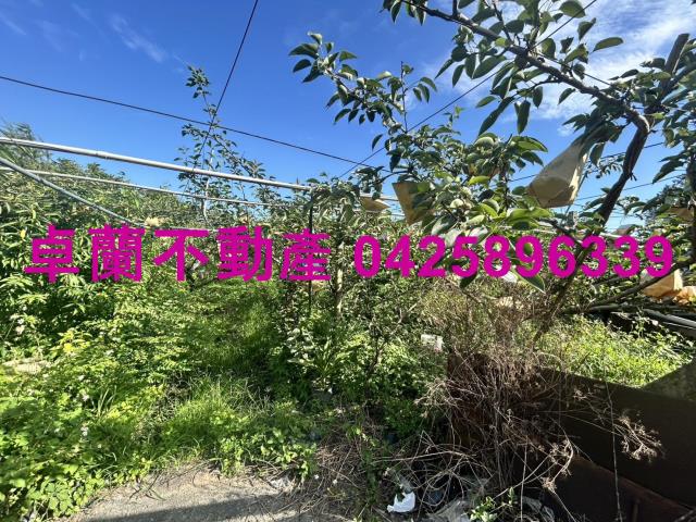 卓蘭農地-9
