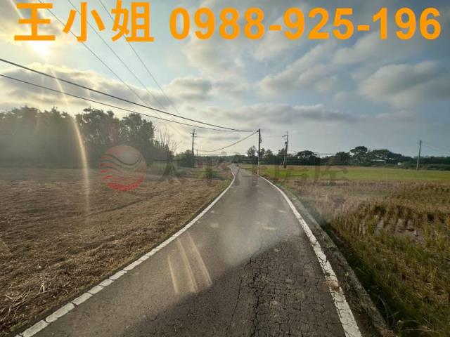 大園農地-6