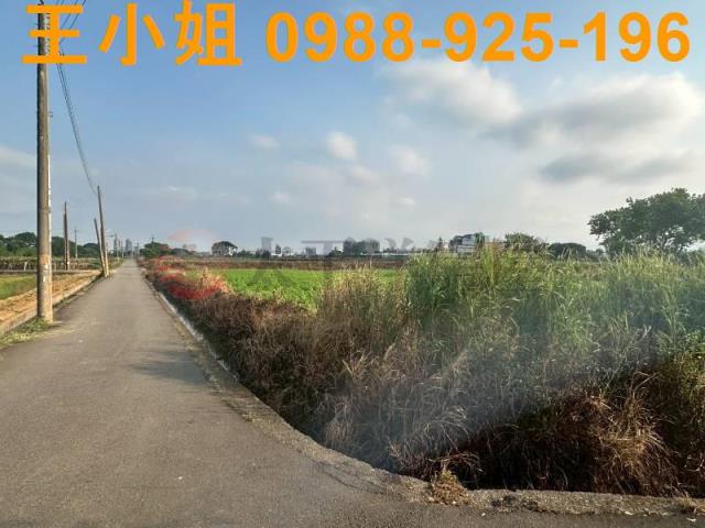 大園農地-8