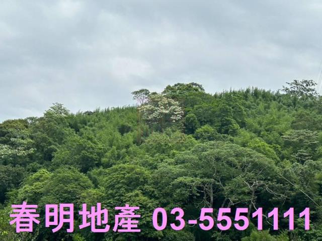 峨眉建地_林地-10