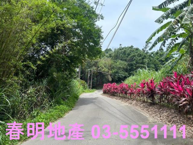 峨眉建地_林地-12