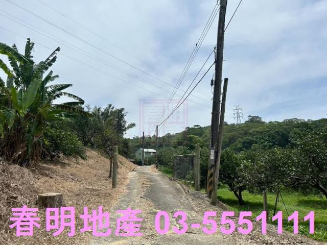 峨眉建地_林地-13