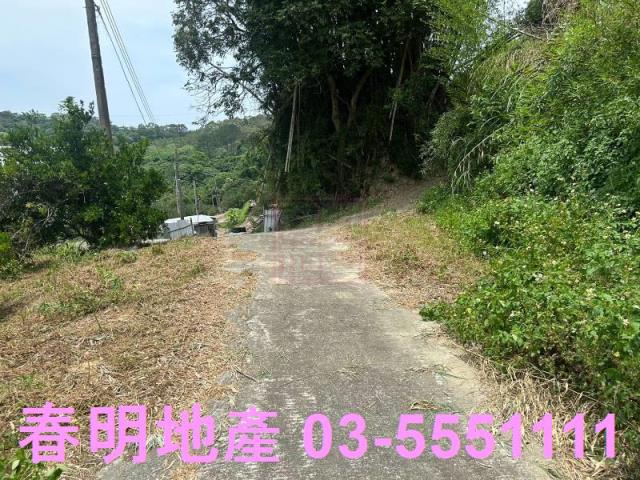 峨眉建地_林地-14