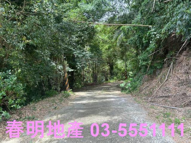 峨眉建地_林地-15