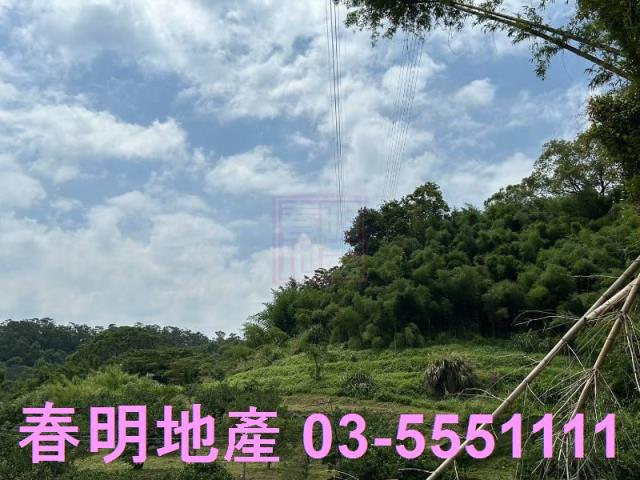 峨眉建地_林地-1