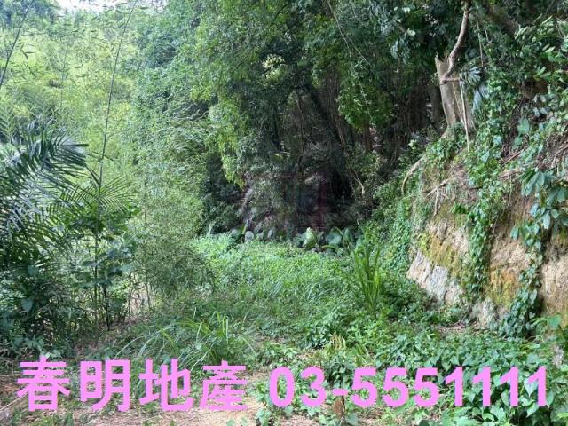 峨眉建地_林地-2