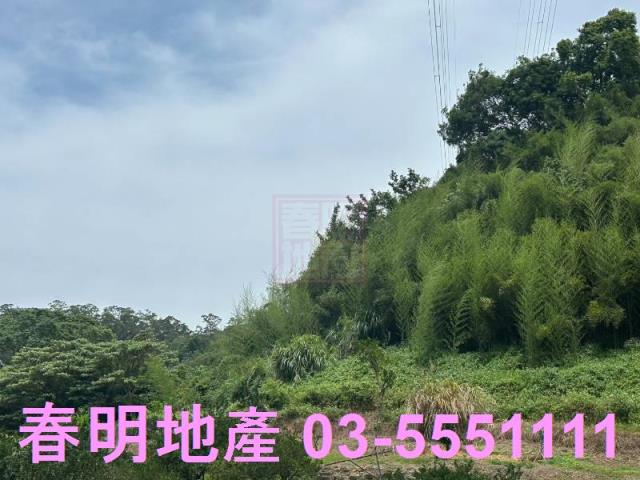 峨眉建地_林地-5