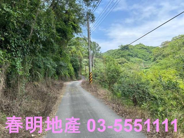 峨眉建地_林地-7
