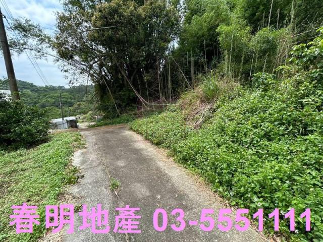 峨眉建地_林地-8