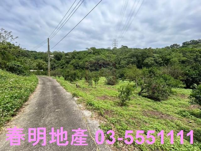 峨眉建地_林地-9