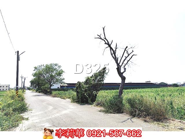 新營農地-3