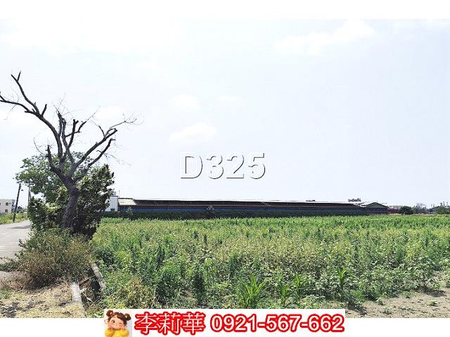 新營農地-4