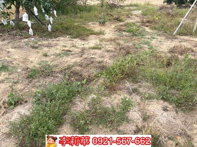 新化建地-6