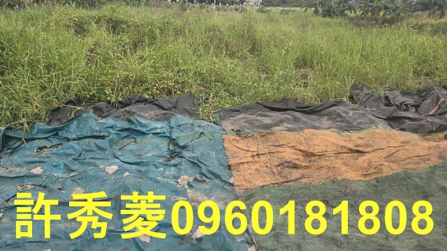 岡山農地-7