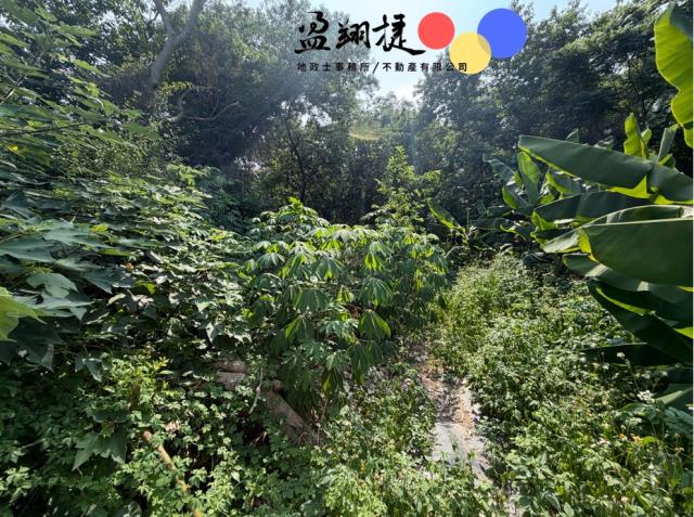 南區農地-2