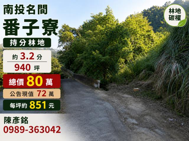 南投名間山坡地-0