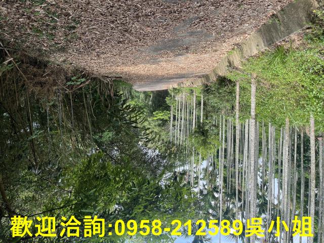 苗栗三義山坡地_休閒地_林地-9