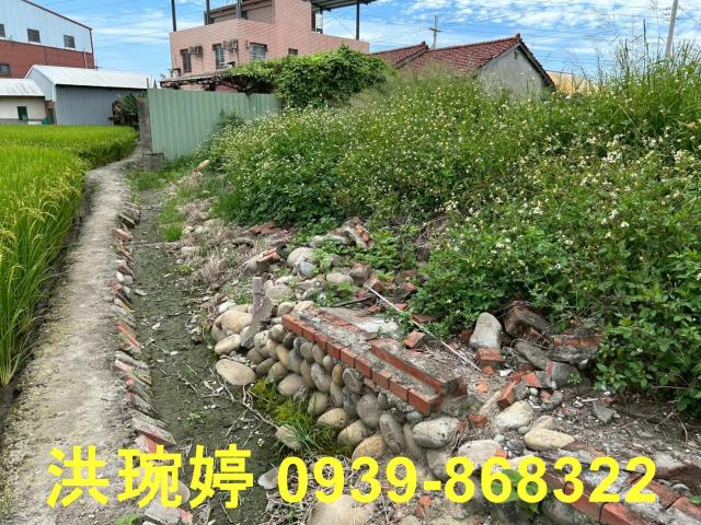 台中烏日建地-3