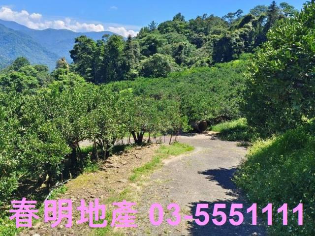 橫山農地-10