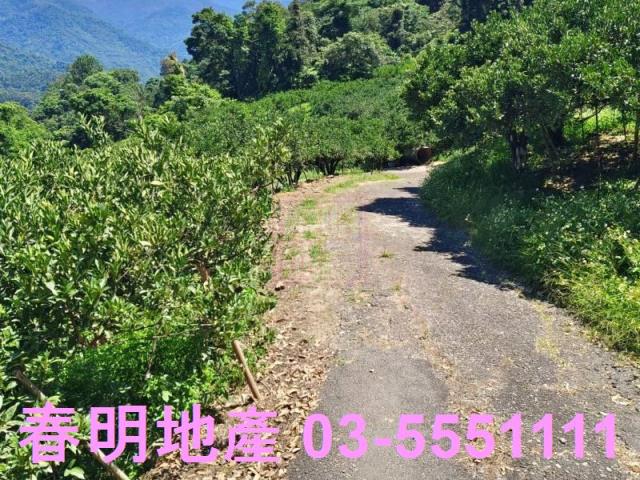 橫山農地-13