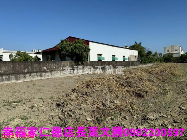 仁德農地-12
