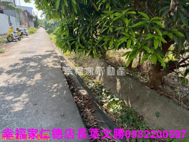 仁德農地-24