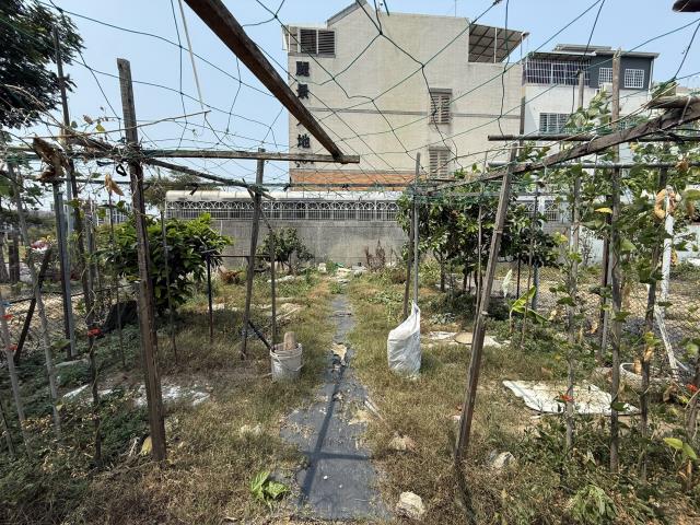 橋頭建地-4