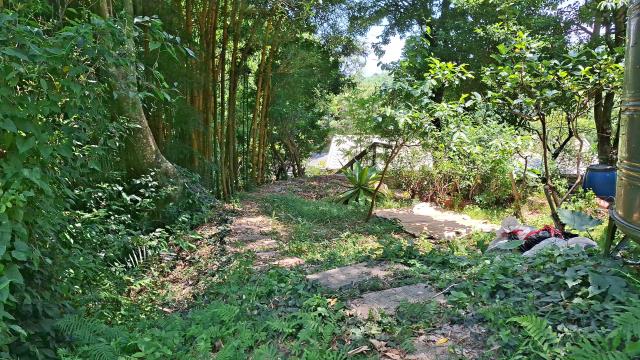 峨眉休閒地_林地-7