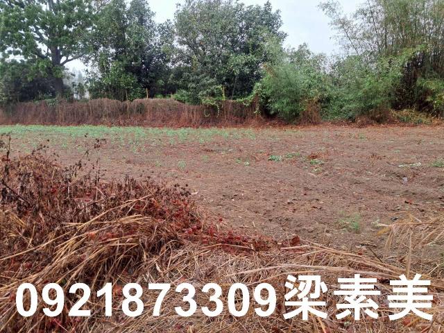 台南農地-11