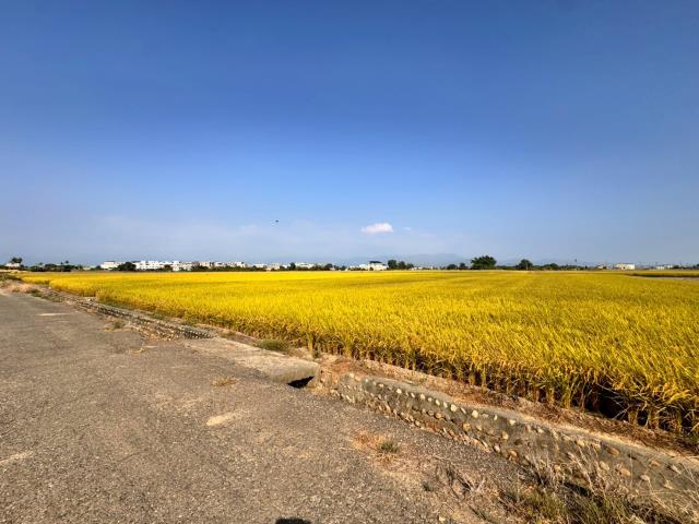嘉義農地-4