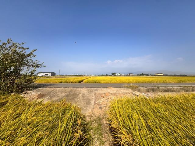 嘉義農地-3