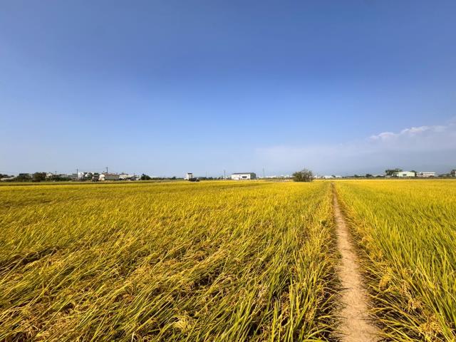 嘉義農地-4