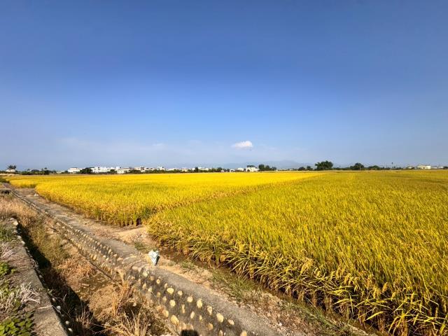 水上交流道旁農地