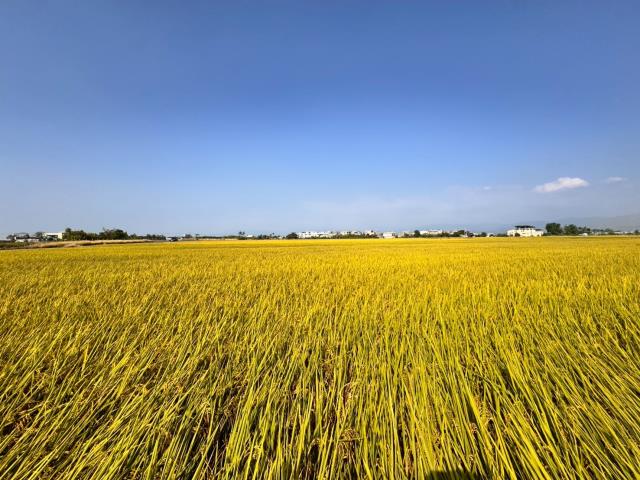 嘉義農地-9