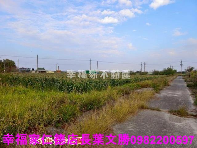 台南農地-15