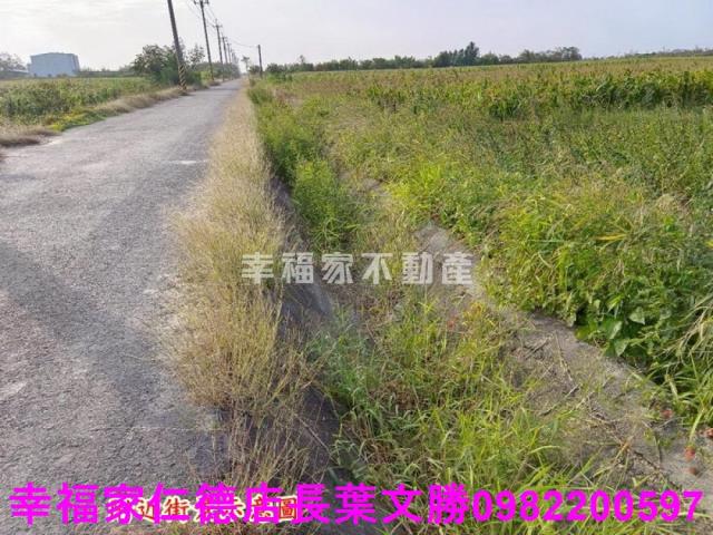 台南農地-17