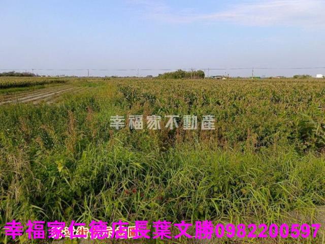 台南農地-30