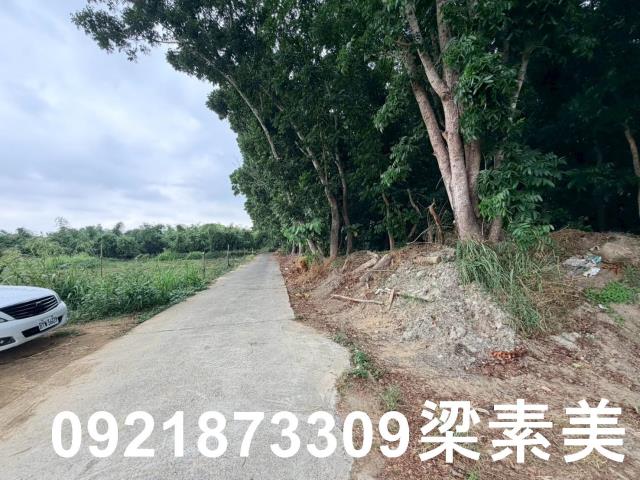 台南關廟農地-2