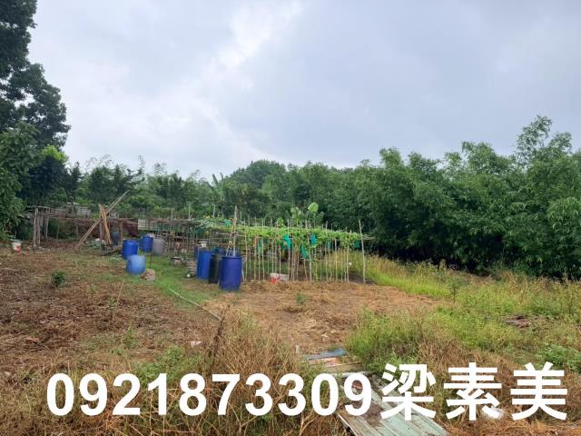 台南關廟農地-5