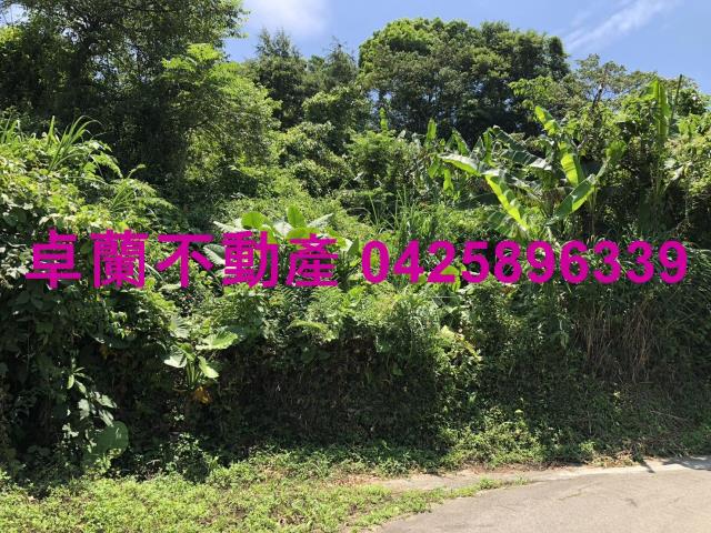 苗栗卓蘭農地-2