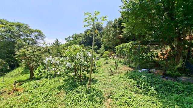 新竹峨眉山坡地-10