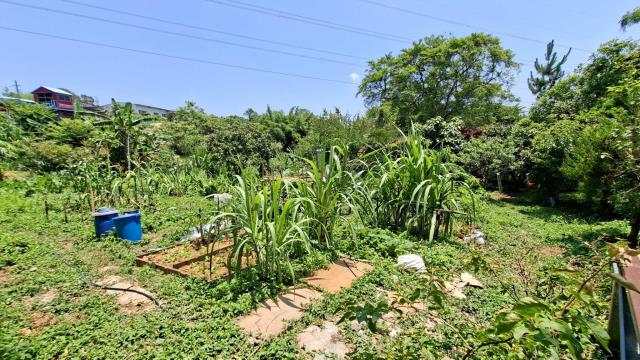 新竹峨眉山坡地-13