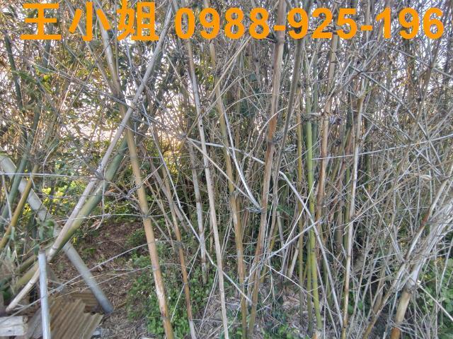 桃園桃園區農地-5