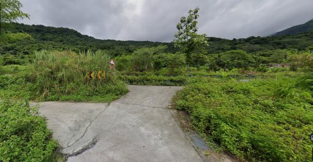 延平農地_山坡地-1