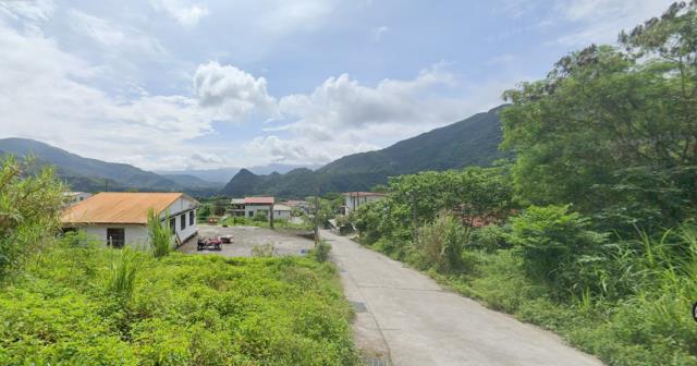 延平農地_山坡地-2