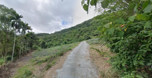 延平農地_山坡地-3
