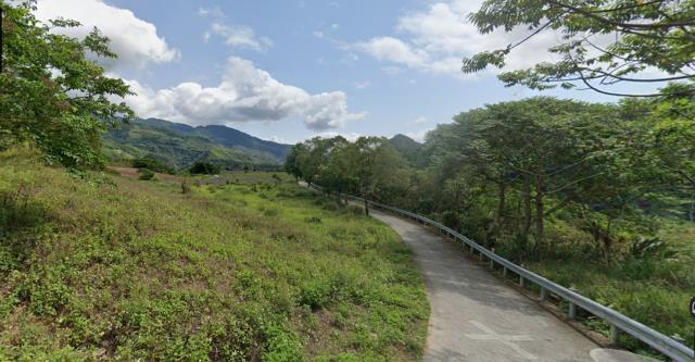 延平農地_山坡地-4