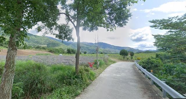 延平農地_山坡地-5