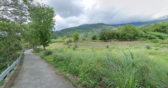 延平農地_山坡地-6