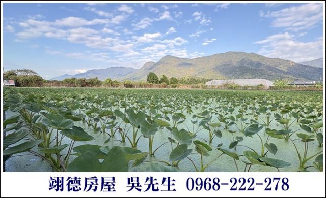 高樹農地-9